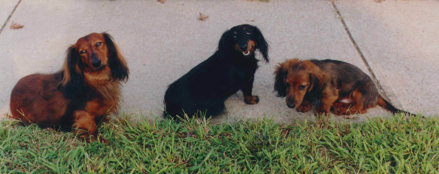 Family1.jpg (164531 bytes)