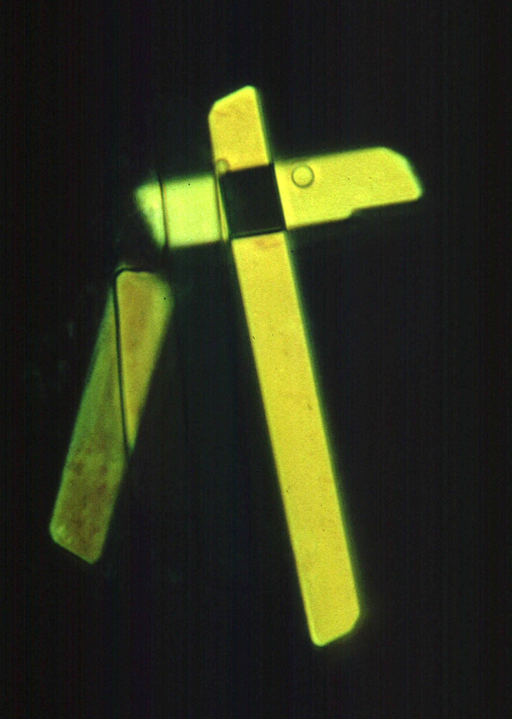 Kreuz.jpg (833170 bytes)