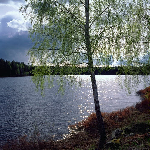 Lake.jpg (86752 bytes)