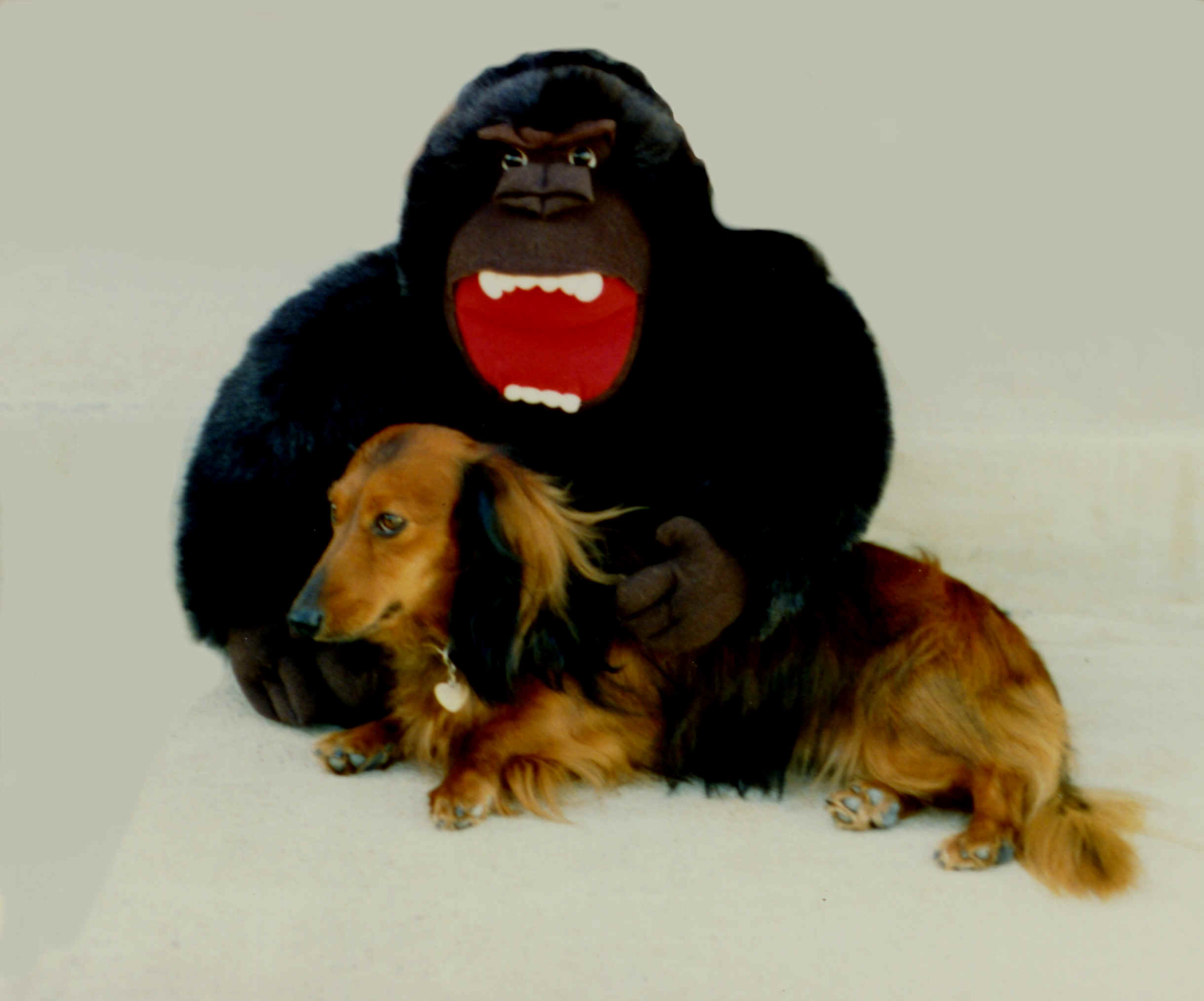 Monkeylove.jpg (373612 bytes)