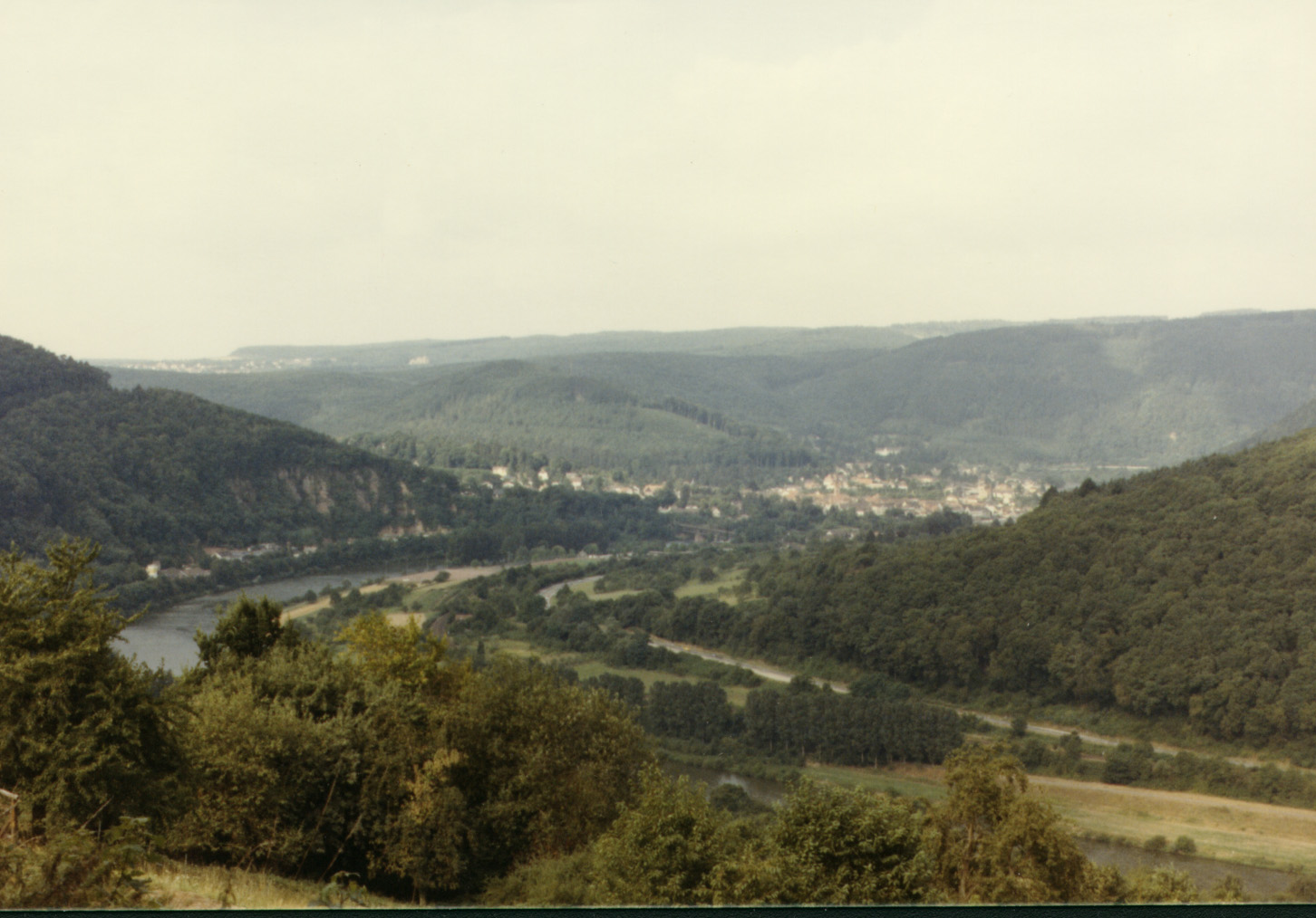 Neckar.jpg (309926 bytes)
