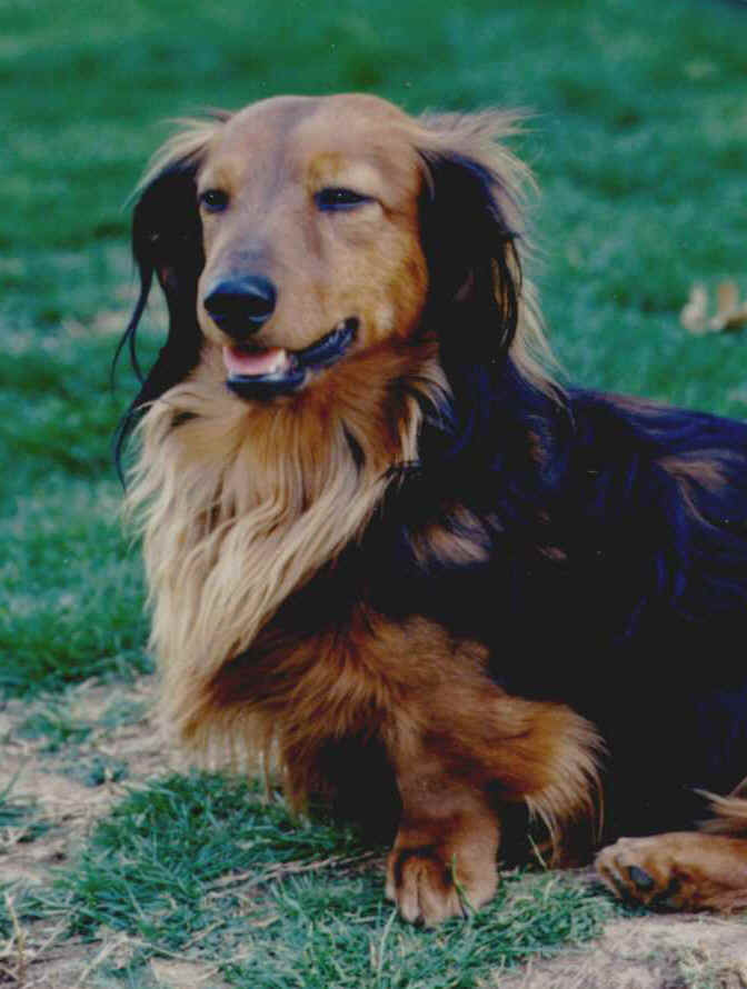 Rudy1.jpg (103172 bytes)