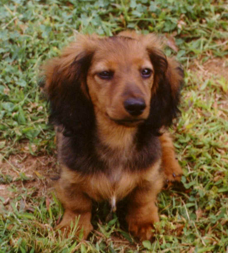 rudy71.jpg (210235 bytes)